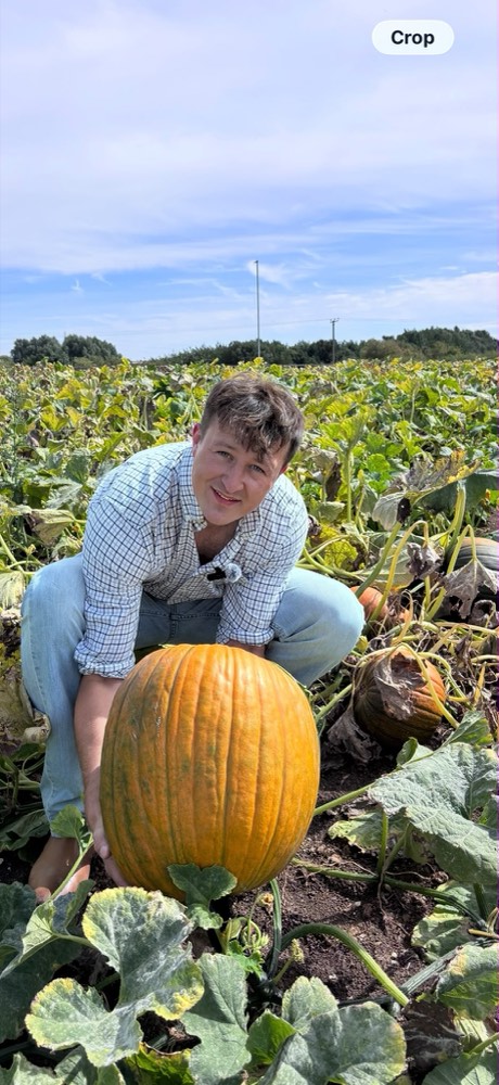 A large orange carving pumpkin lifted out of the field